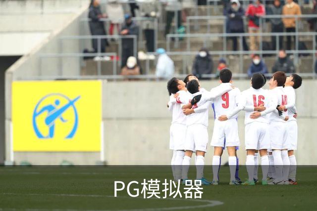 PG模拟器公司环境